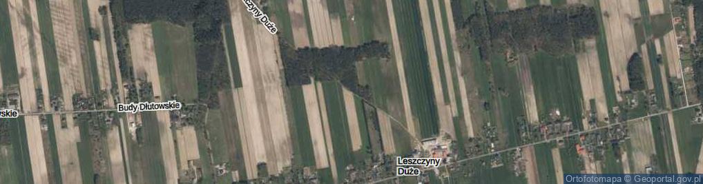Zdjęcie satelitarne Leszczyny Duże ul.